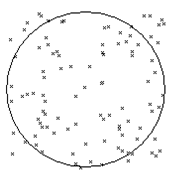 image7.gif
